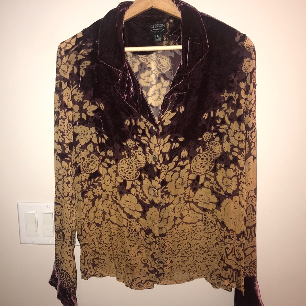 Citron Velvet/Sheer Button Down Blouse